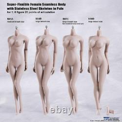 1/6 Phicen Pale Figure S07C Female Seamless Body & Super Duck Head DIY Model Kit