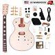 DIY Electric Guitar Kit LP Binding Flame Maple Top Archtop FREE SHIPPING