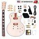DIY Electric Guitar Kit LP Flame Maple Top binding Archtop FREE SHIPPING