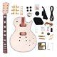 DIY Electric Guitar Kit LP Type Mahogany Body with Flame Maple Top Free Shipping