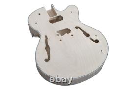 Hollow Body LP Style DIY Electric Guitar Kit, custom 6-string H H pickup Warranty