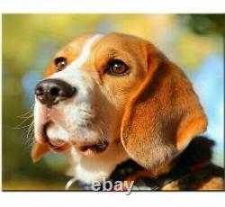 Home Decoration Beagles Painting Full Resin Diamonds With Picture DIY Crafts New